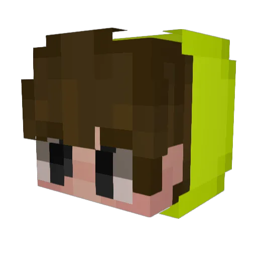WhoAmIxD Minecraft avatar head, 3D render