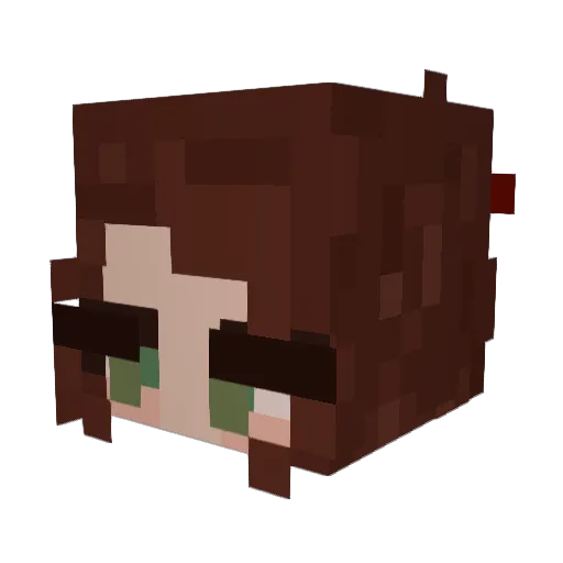WhoBears Minecraft avatar head, 3D render