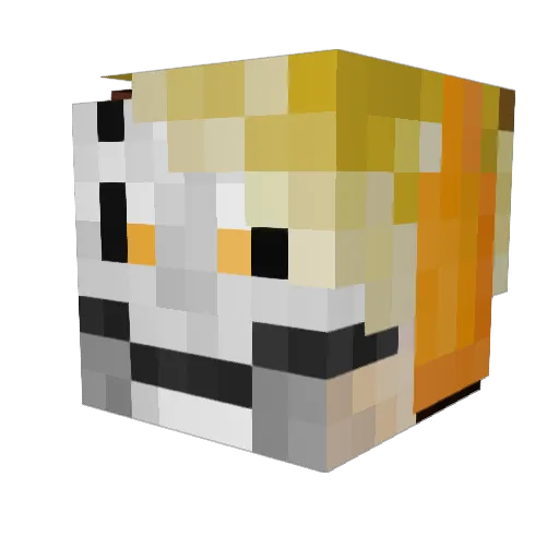 WhoBuiltTheArk Minecraft avatar head, 3D render