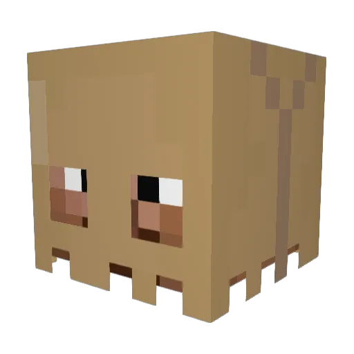 WhoCaresYouDo Minecraft avatar head, 3D render