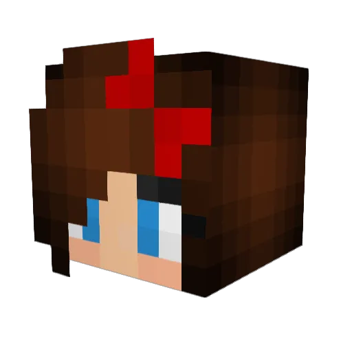 WhoFan910 Minecraft avatar head, 3D render