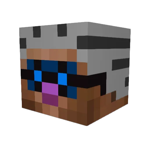 WhoFly Minecraft avatar head, 3D render
