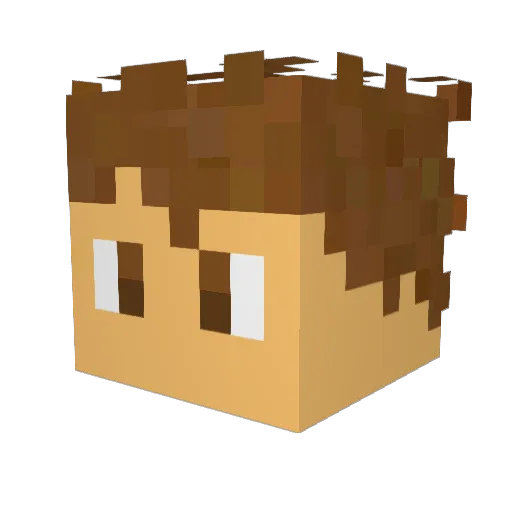 WhoHatesMyName Minecraft avatar head, 3D render