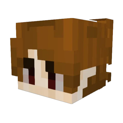 Minecraft-Avatar von WhoIsApfel: Kopf als 3D-Render