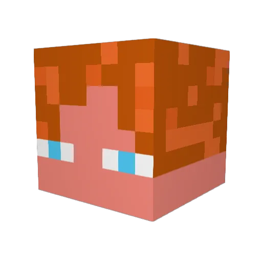 WhoIsFor Minecraft avatar head, 3D render