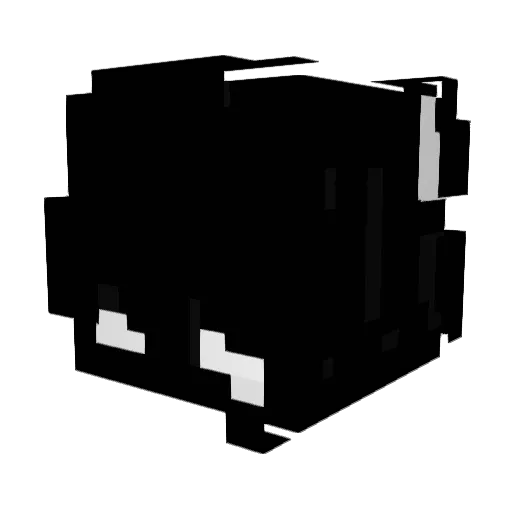 WhoIsTher3 Minecraft avatar head, 3D render