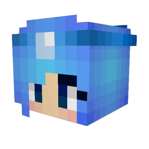 WhoIsThisJoe Minecraft avatar head, 3D render
