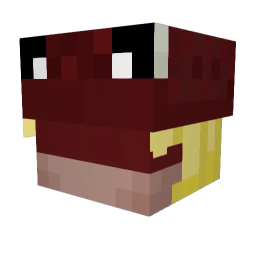 WhoJPS Minecraft avatar head, 3D render