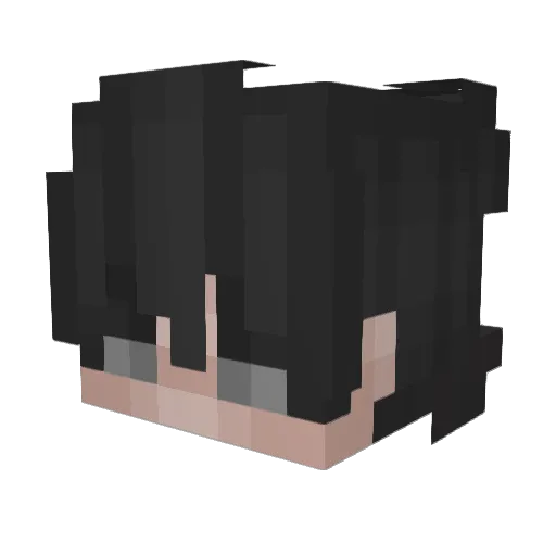 WhoJustGotMuted Minecraft avatar head, 3D render