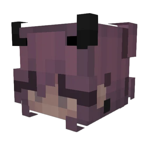 WhoKilledKarma Minecraft avatar head, 3D render
