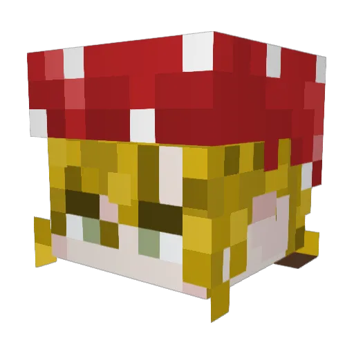 WhoKnows1742 Minecraft avatar head, 3D render