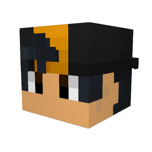 WhoKnows420 Minecraft avatar head, 3D render