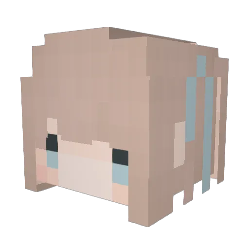 WhoSins_ Minecraft avatar head, 3D render