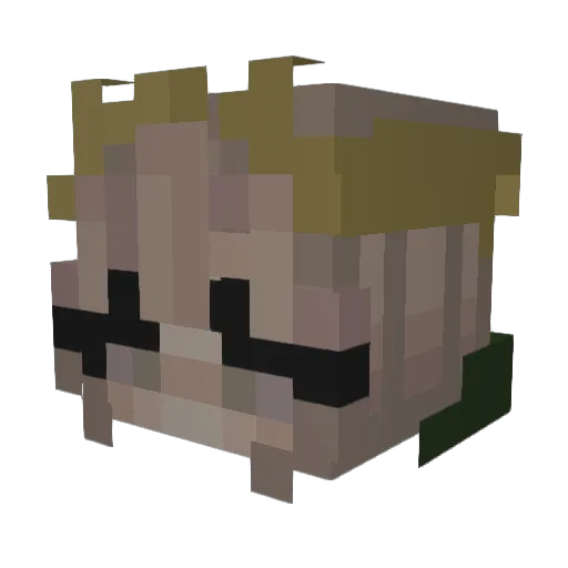 WhoSpellbreaker Minecraft avatar head, 3D render