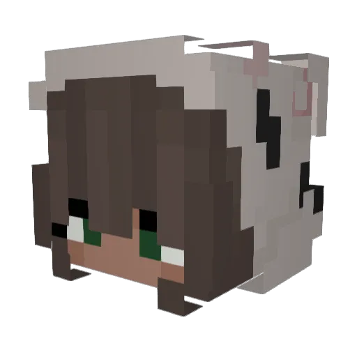 WhoStoleMyCows Minecraft avatar head, 3D render