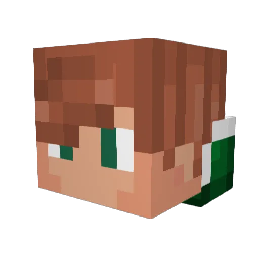 WhoTookMaze Minecraft avatar head, 3D render
