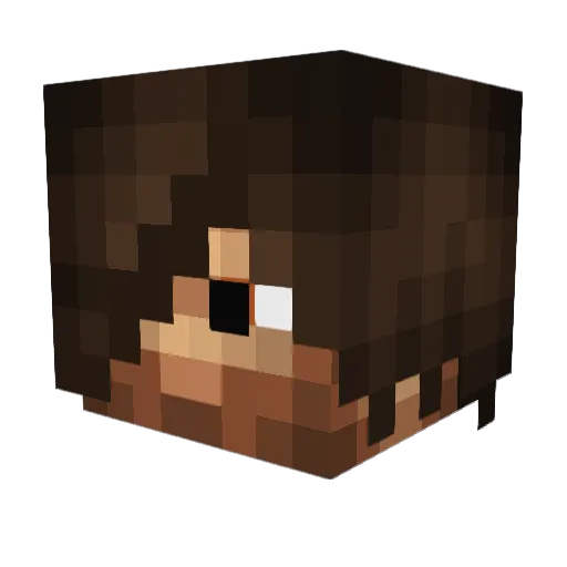 WhoWhat3 Minecraft avatar head, 3D render