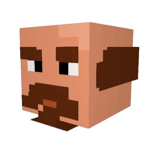 WhoWouldKnow Minecraft avatar head, 3D render