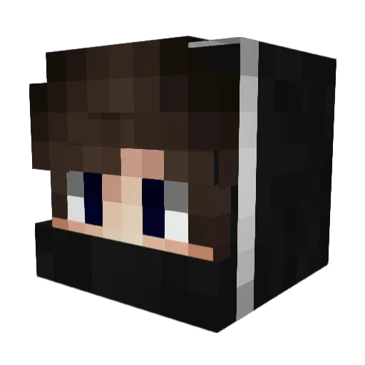 WhoYou_ Minecraft avatar head, 3D render