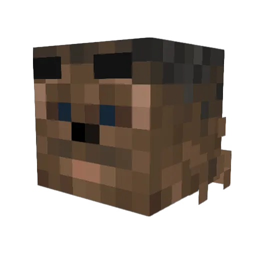 Who_IS_Bigfella Minecraft avatar head, 3D render