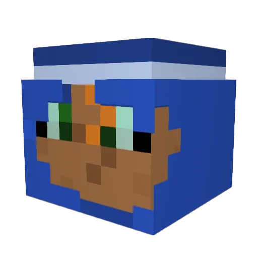 Who_The_Bird Minecraft avatar head, 3D render