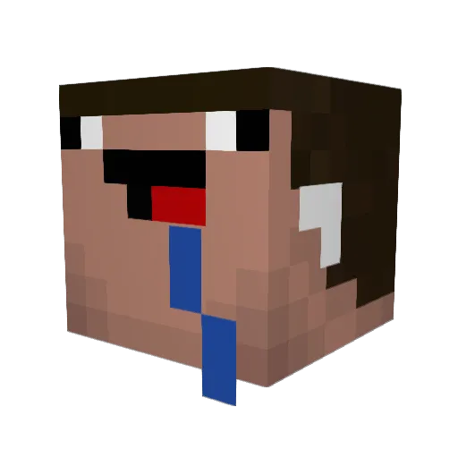 Who_Took_My_User Minecraft avatar head, 3D render