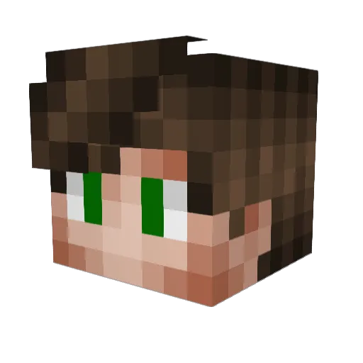 Who__ Minecraft avatar head, 3D render