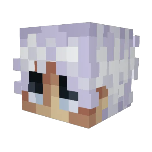 Who__ami Minecraft avatar head, 3D render
