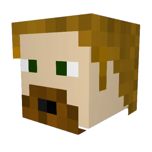 Whoa_Dude Minecraft avatar head, 3D render