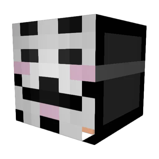 Whodini_ Minecraft avatar head, 3D render