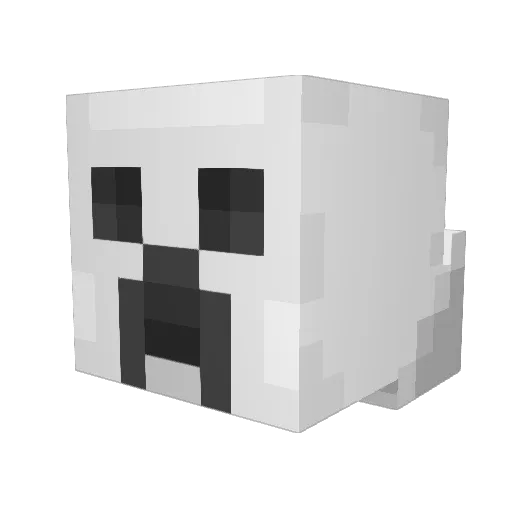 Whodis_1 Minecraft avatar head, 3D render