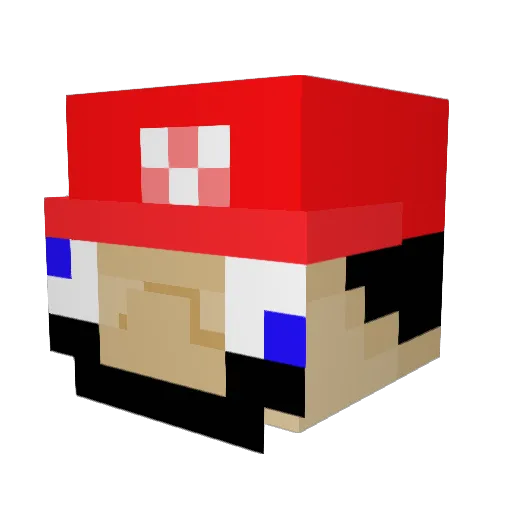 WhoisRy Minecraft avatar head, 3D render