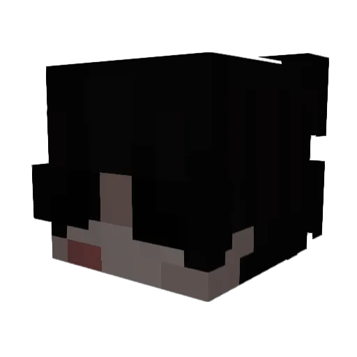 WholeLottaKaym Minecraft avatar head, 3D render
