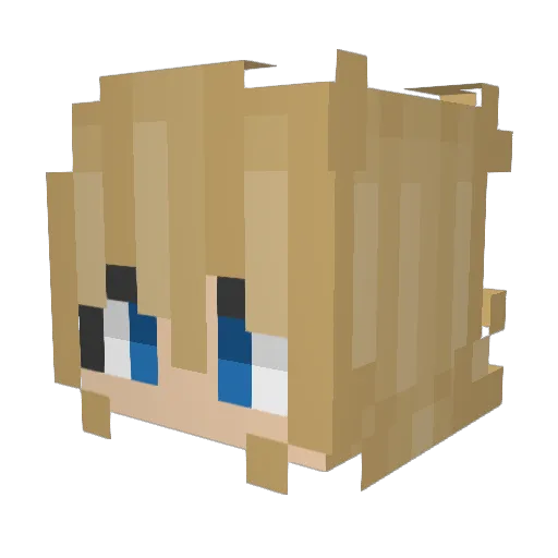 WholeLotta_ Minecraft avatar head, 3D render