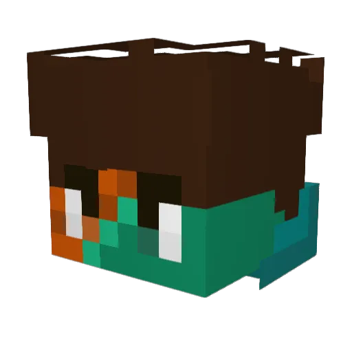 WholeToaster776 Minecraft avatar head, 3D render