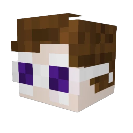 Whole_Notes Minecraft avatar head, 3D render