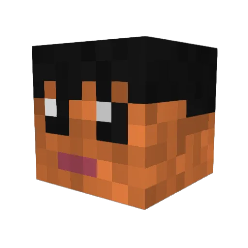 WholeeeeShit2Lol Minecraft avatar head, 3D render