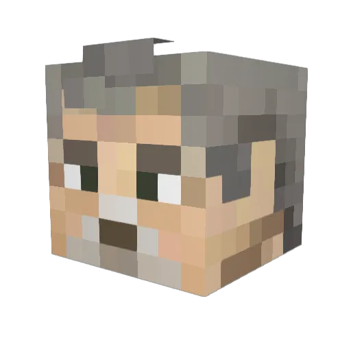 Wholens Minecraft avatar head, 3D render