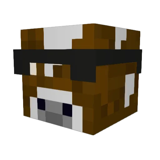 Wholphy Minecraft avatar head, 3D render