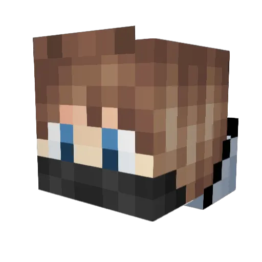 Whompy Minecraft avatar head, 3D render