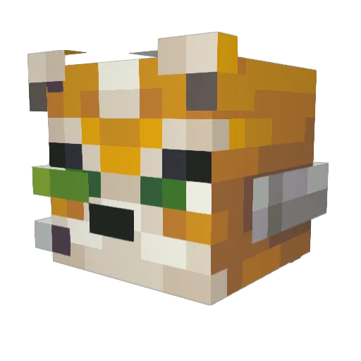 Whoneedspacee Minecraft avatar head, 3D render