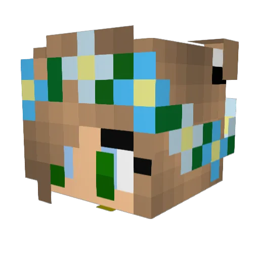 Whopper299 Minecraft avatar head, 3D render