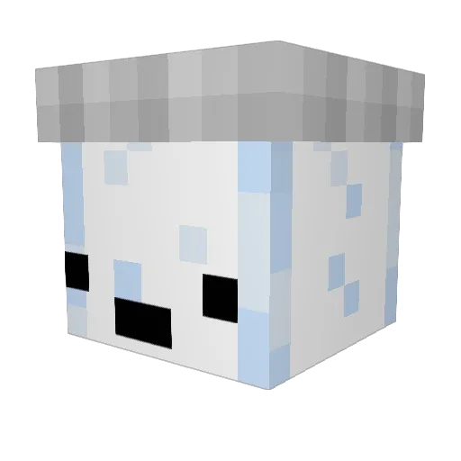 WhopperDopper25 Minecraft avatar head, 3D render