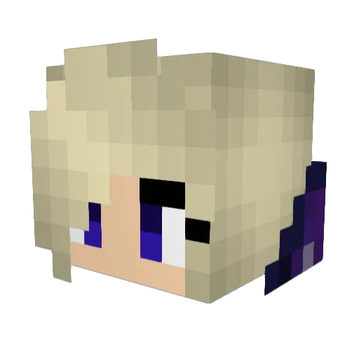WhopperJr Minecraft avatar head, 3D render