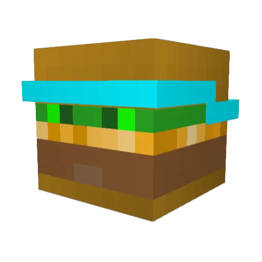 Whopperkid55 Minecraft avatar head, 3D render