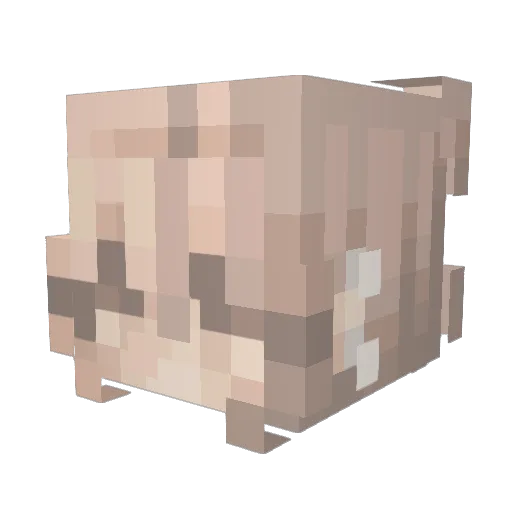 WhosAmiiii Minecraft avatar head, 3D render