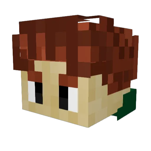 WhosBro Minecraft avatar head, 3D render
