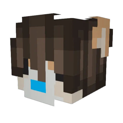 WhosCorgi Minecraft avatar head, 3D render