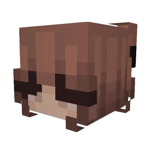 WhosHell Minecraft avatar head, 3D render