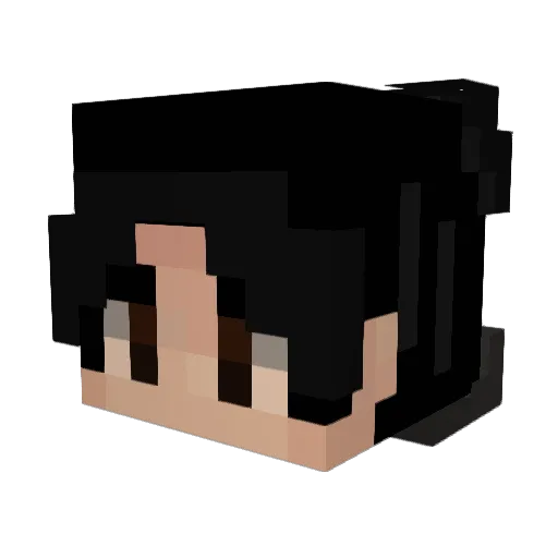 WhosNahi_ Minecraft avatar head, 3D render